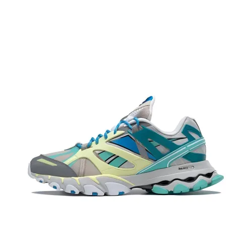 Reebok DMX Trail Shadow Low Топ Повседневная обувь Унисекс Серый Синий