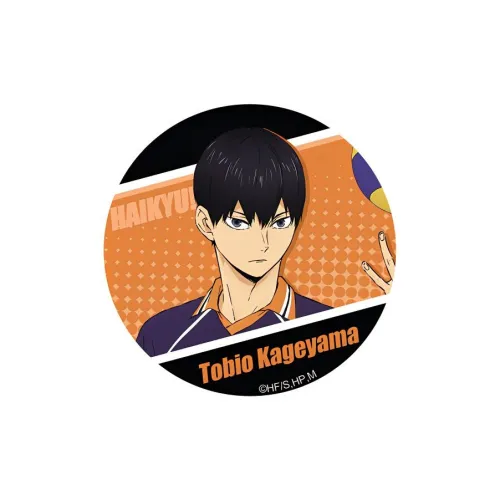 Xhdm Haikyuu!! Фирменная продукция Значки