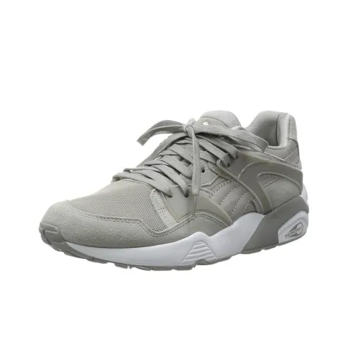 PUMA BLAZE Trinomic Low Топ Повседневная обувь Мужская Белый Серый