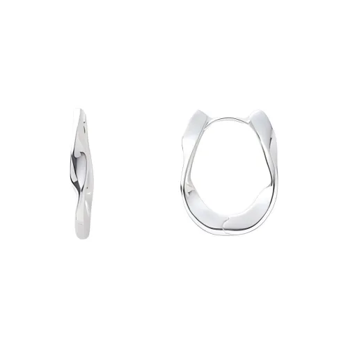 Серьги из нержавеющей стали JOUETE серия Women's Silver