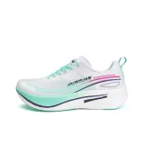 Тяжело пробираясь через снег в поисках цветущей сливы