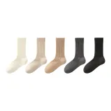 5 пар (Молочно-белый + Светло-бежевый + Молочно-кофейный + Темно-серый + Черный)