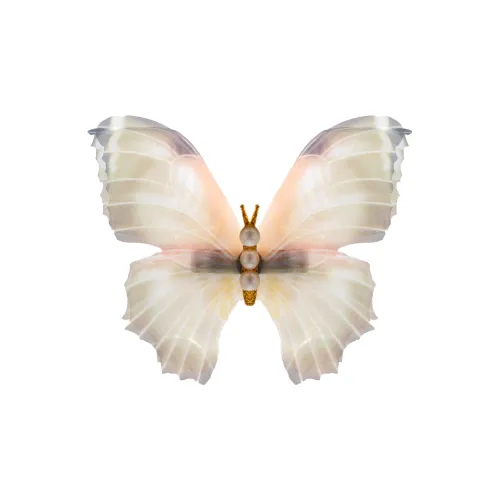 ZANC Заколки для волос Женские