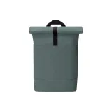 Сосновый зеленый, средний размер