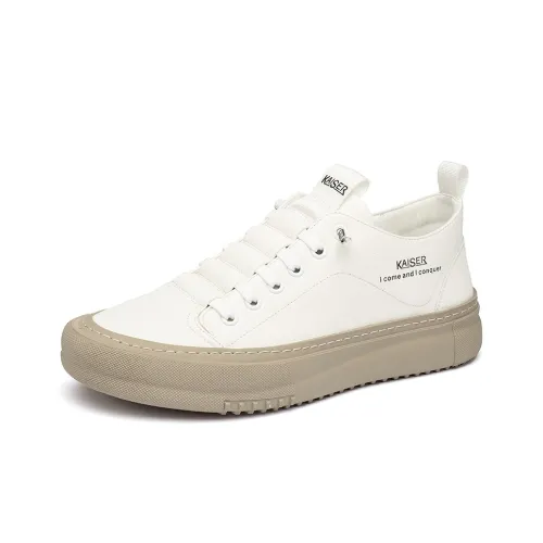 Kaiser Мужские повседневные туфли с низким верхом для мужчин