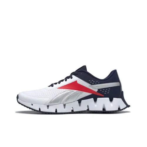 Reebok Zig Dynamica 2 Low Топ Беговые кроссовки Мужские Белый Синий