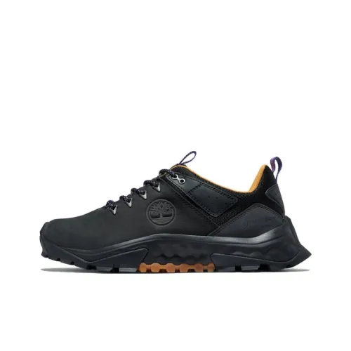 Timberland Беговые кроссовки Низкие Топ Мужские