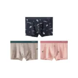 3 Светло-серый + Светлый кофейный + Камея коричневая