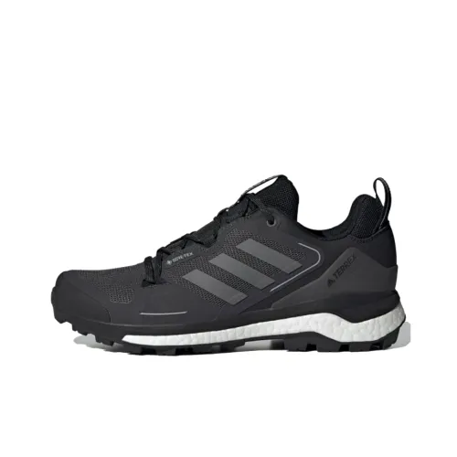 adidas Terrex Skychaser Low Топ Уличная обувь Мужская