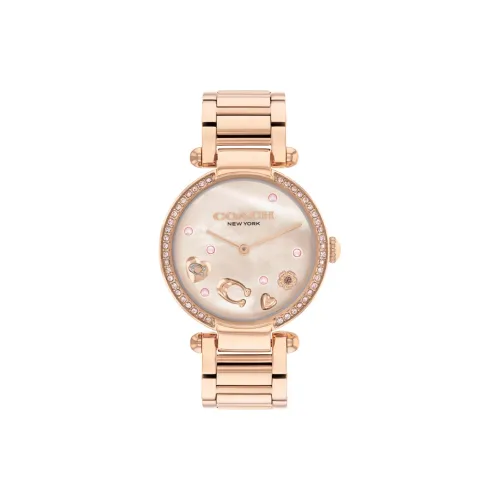 COACH Кварцевый Movement Женские Cary Watch 34мм*34мм*9,1мм Жемчужная раковина Цвет