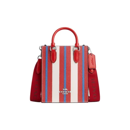 COACH N S Холст и кожа через плечо сумка мини женская многоцветная