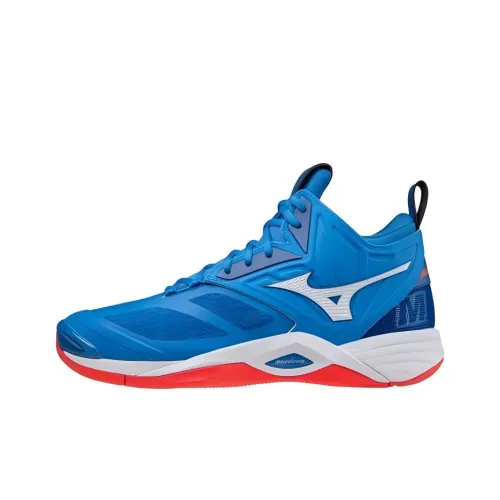 Кроссовки для волейбола Mizuno Momentum Low Top Unisex