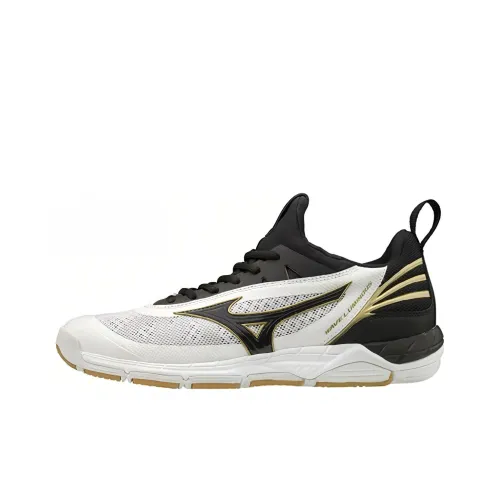 Кроссовки для волейбола Mizuno Low Top Unisex