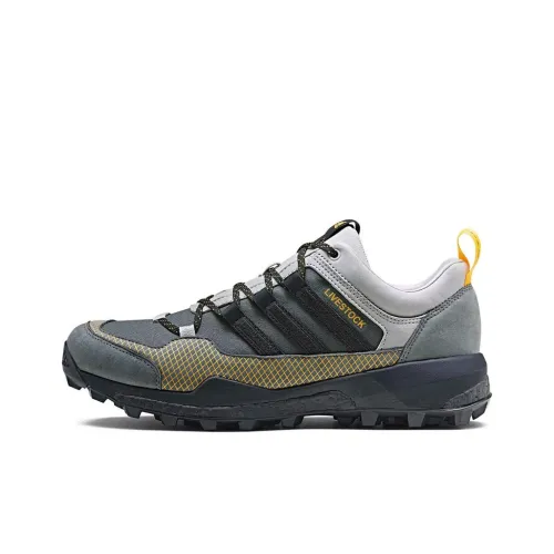 adidas Terrex Skychaser Амортизация и Дышащий Низкий Топ Альпинистская Обувь Мужская Серый Черный
