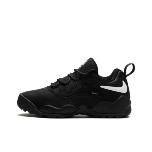 Nike SB Darwin Casual Low Top Черный/Белый Мужской