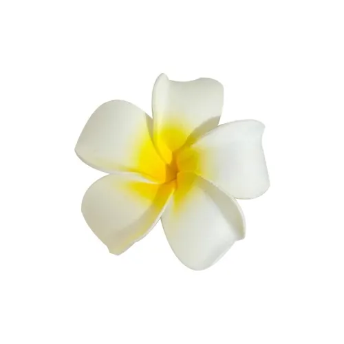 Water jade Заколки для волос Женские