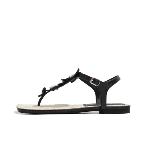 Old Meow Планшет Повседневный One Ремешок Сандалии Женские Черный