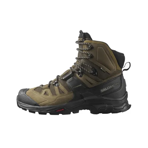 SALOMON Gore Te Quest 4 Устойчивый к истиранию Высокий Топ Альпинистская Походная обувь Мужская Черный Коричневый