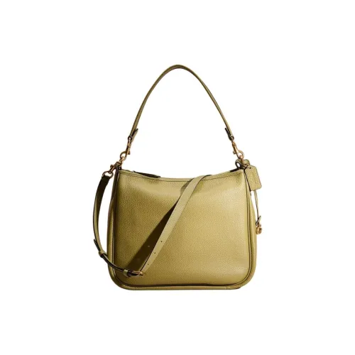 COACH Cary Пескоструйная кожа Плечевая сумка Женская Латунь и Мохово-зеленый