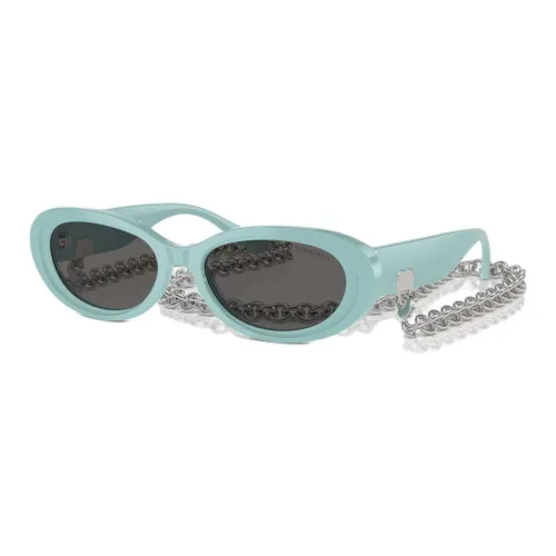 TIFFANY CO. Пластик OVAL SUNGLASSES Женские Синий