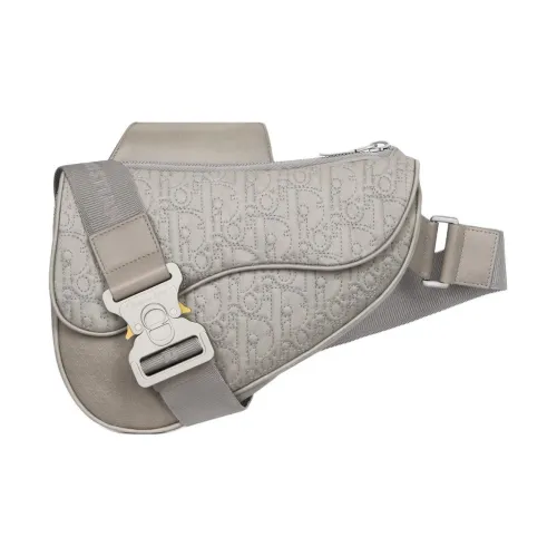 DIOR OBLIQUE Принт Техническая Ткань с Гладкой Коровьей Кожей Седло Сумка Сумка через плечо Мужская Серый