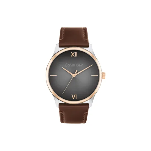 CALVIN KLEIN Европейские и Американские Часы Кварцевый механизм 43 мм Коричневый циферблат Часы Мужские