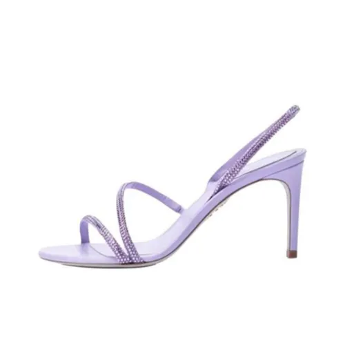 RENE CAOVILLA IRINA one Ремень Сандалии 8 см Женские Фиолетовый