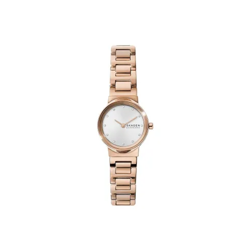 SKAGEN Women's Watch Кварцевый механизм ремешок из нержавеющей стали 26 мм серебристый циферблат