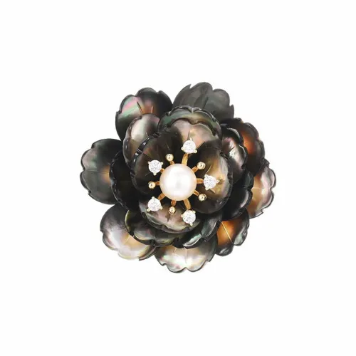 Marco Bizzarri Броши Женские