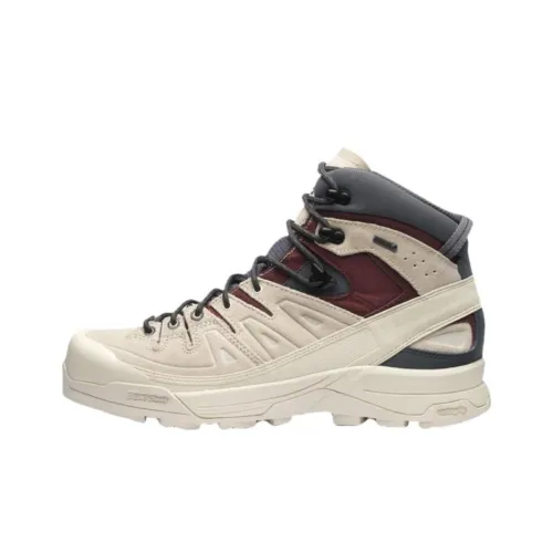 SALOMON X Alp Амортизация Противоскользящий Устойчивый к истиранию Водонепроницаемый MID Топ Уличная обувь Унисекс Серый Бежевый