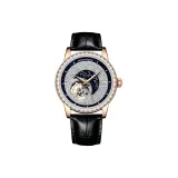 Черный лебедь