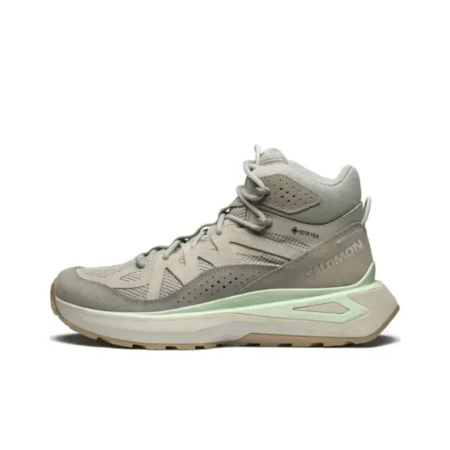 SALOMON ODYSSEY ELMT Противоскользящий Износостойкий Водонепроницаемый MID Топ Беговые кроссовки Унисекс Кремниевый серый