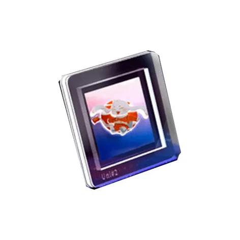 IP XIAOZHAN Упаковка без видимой продукции