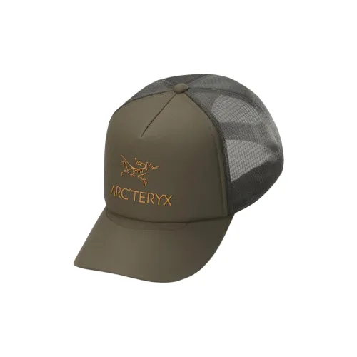 Arcteryx Полиэстер Кепки Унисекс Пыльно-зеленый