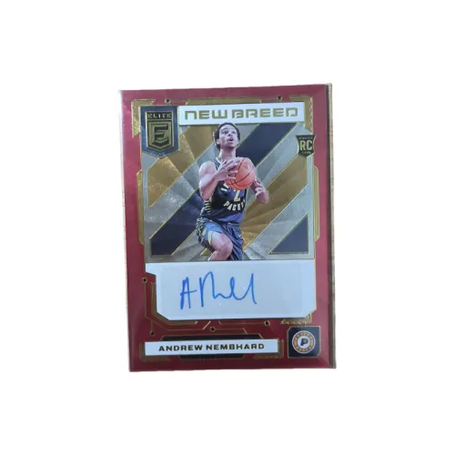 PANINI 2022 23 Elite ANDREW Nembhard Новые Звезды RC41 49 Наклейка Карта Пройдет Спортивные Карты 1 Упаковка