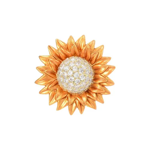 Marco Bizzarri Броши Женские