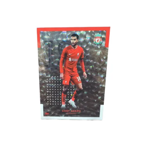 Topps Soccer Star Cody Gakpo Liverpool Team Box Gakpo Голландский Ледяной Fold Футбол Игрок Card Card