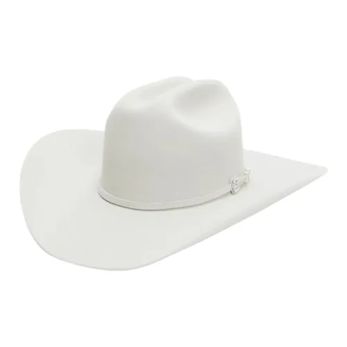 STETSON Felt Hats Caps Unisex Silver Gray STETSON Фетровые шляпы и кепки унисекс серебристо-серый