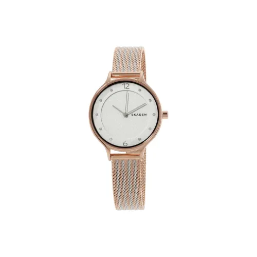 SKAGEN ANITA Collection Женские часы Кварцевый механизм Ремешок из нержавеющей стали 30 мм Белый циферблат