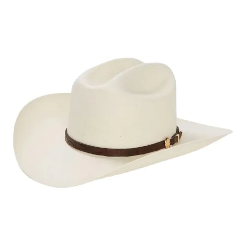 STETSON Солнцезащитные шляпы Унисекс