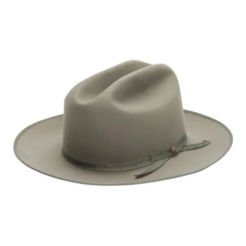 STETSON Beaver Felt Satin Hats Caps Unisex Gray Green STETSON Бобр Фетр Сатиновые Шапки и Кепки Унисекс Серый Зеленый