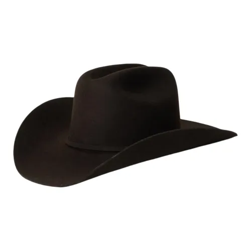 STETSON Шерстяной войлочный трикотажные шапки и кепки унисекс шоколад