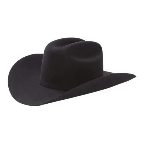 STETSON Войлок Шляпы Унисекс