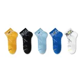 5 цветов ассорти [P146]