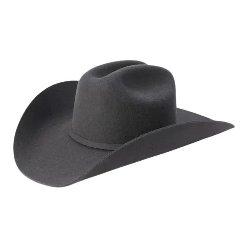 STETSON Шапки и Кепки Унисекс Серый