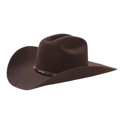 STETSON Шерстяной войлочный трикотажные шапки и кепки унисекс шоколад