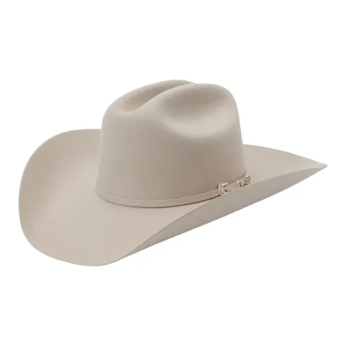 STETSON Натуральная кожа войлочная шапка и кепки унисекс серебряный