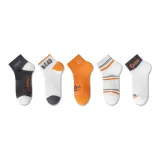 5 цветов ассорти [P149]