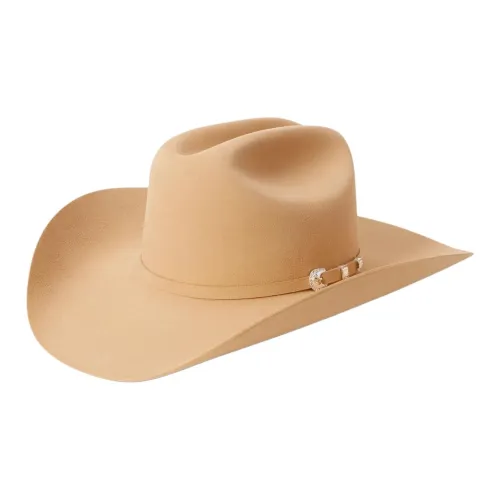 STETSON Beaver Felt Leather Silver Hats Caps Unisex Cream