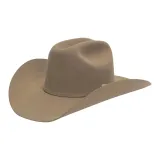 Верблюжий цвет